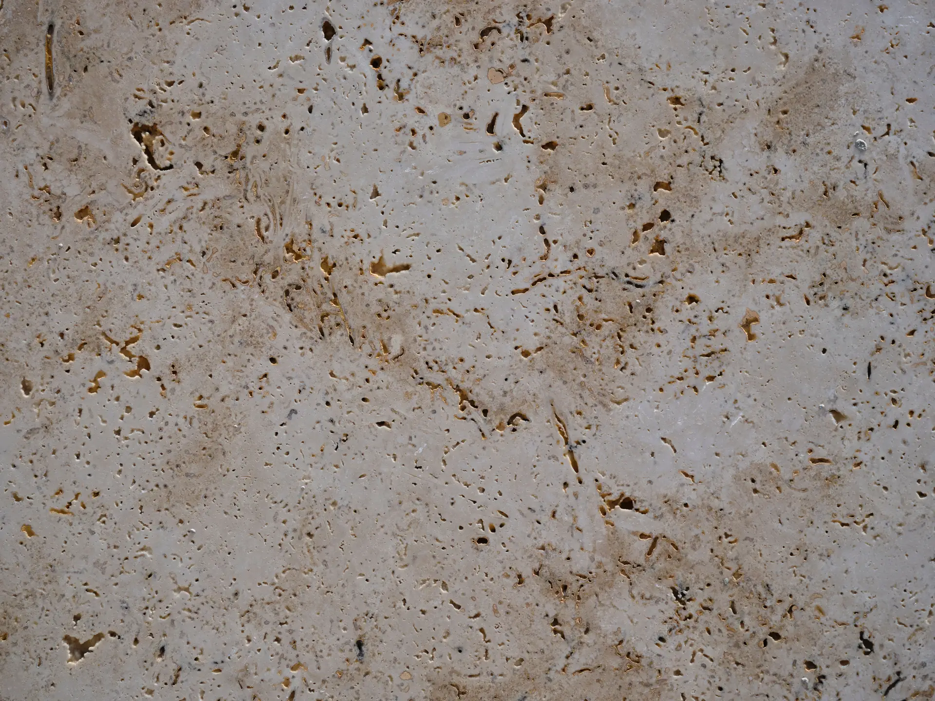 Architectural natural limestone texture with organic strata and warm tone