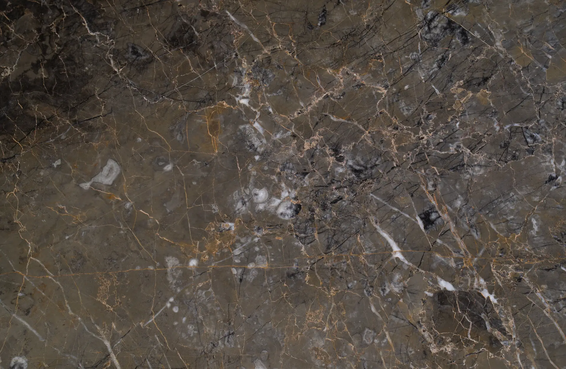 Deep charcoal marble with dramatic high-contrast veining