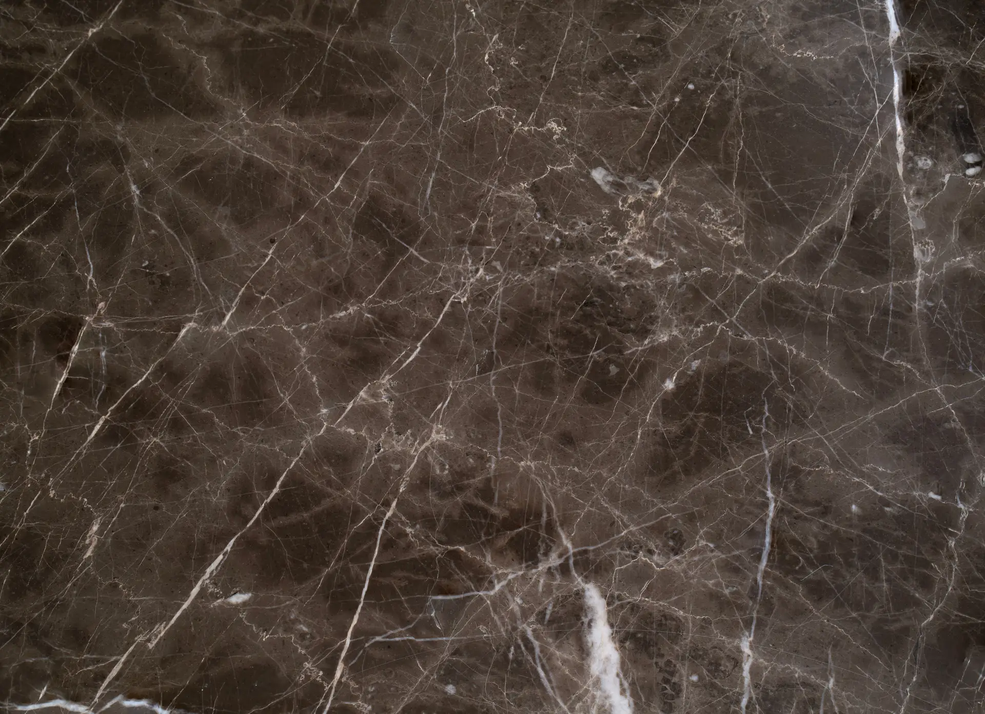 Tawny warm granite slab with fine mineral sediment