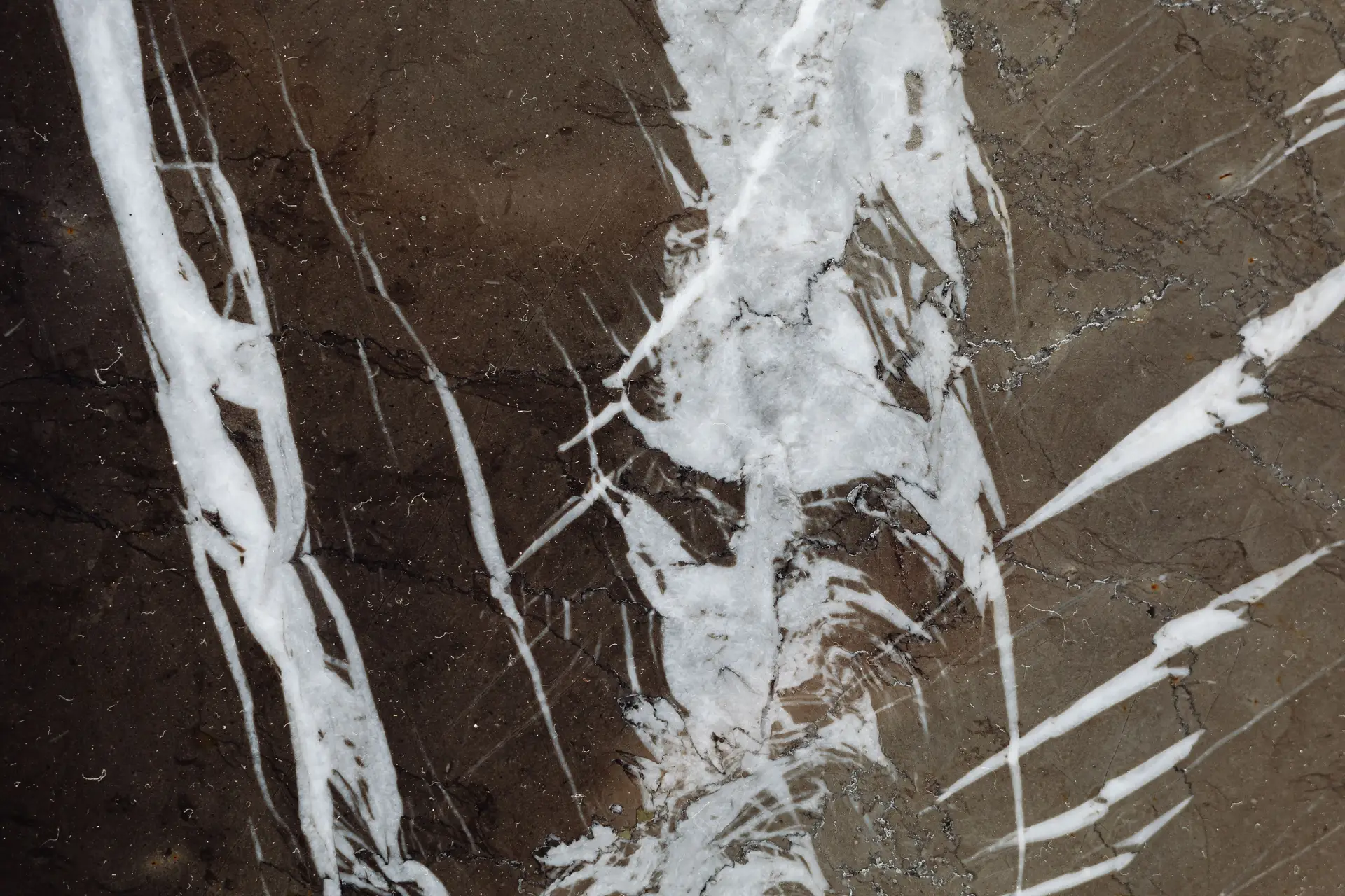 Macro detail of delicate crystalline vein intersections in white marble